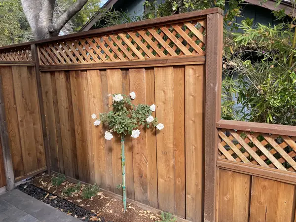 Cedar fence and gate with lattice panels