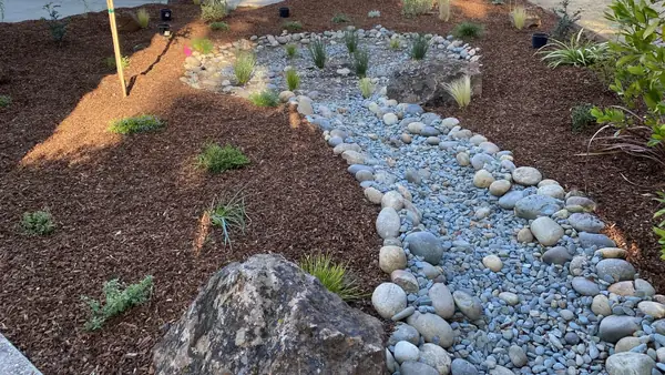 Dry creek bed of river rock with drought-tolerant plants
