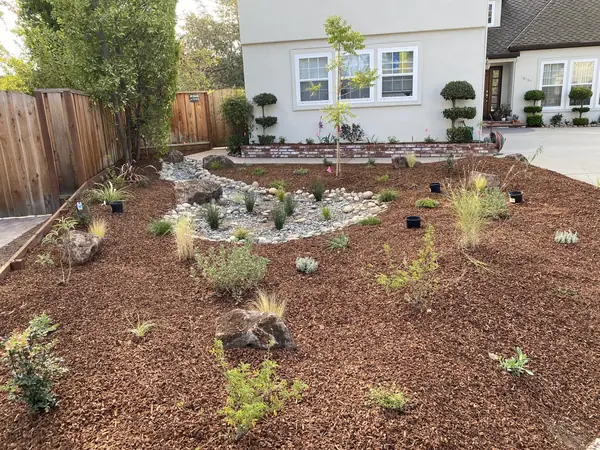 Front yard with new planting, boulders and a dry creek bed