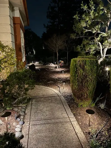 Path lights along a walkway at night