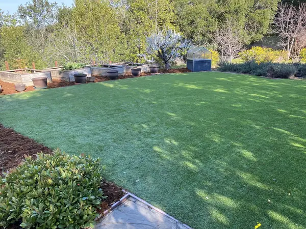 Freshly installed lawn bordered by shrubs and trees